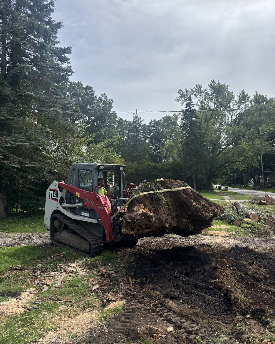 A compact track loader carrying a root ball out of a cleared yard